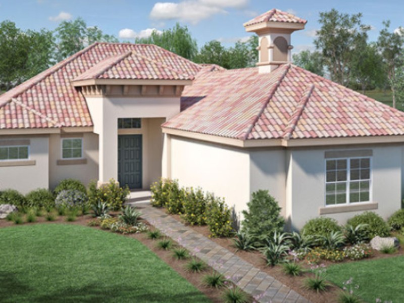 15 New Water Oak Drive - Florida - Palm Coast - 32137