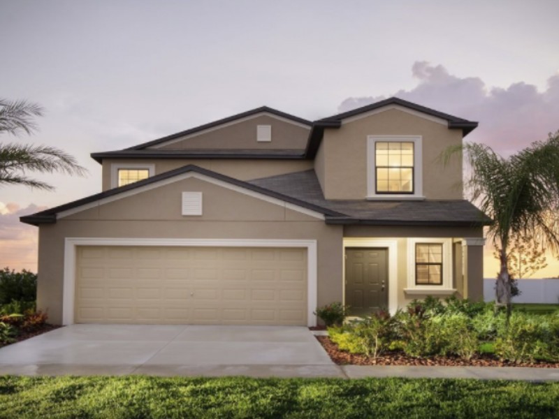 4223 Globe Thistle Dr - Florida - Tampa - 33619