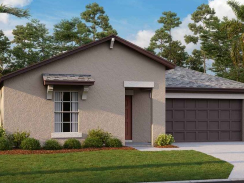 4223 Globe Thistle Dr - Florida - Tampa - 33619