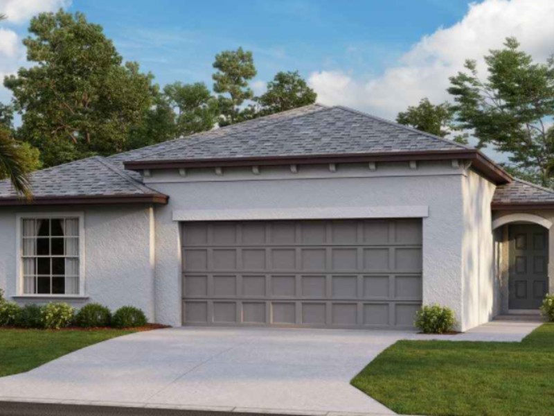 4223 Globe Thistle Dr - Florida - Tampa - 33619