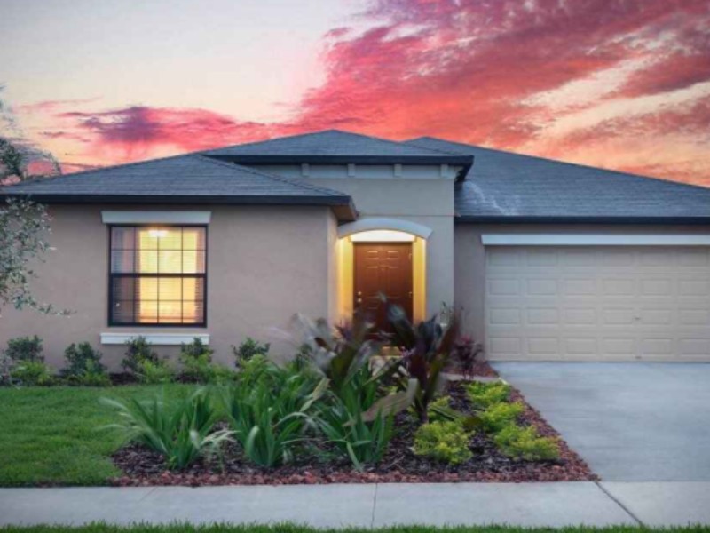 4223 Globe Thistle Dr - Florida - Tampa - 33619