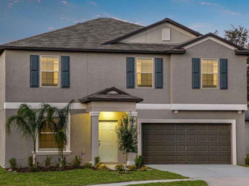 4223 Globe Thistle Dr - Florida - Tampa - 33619