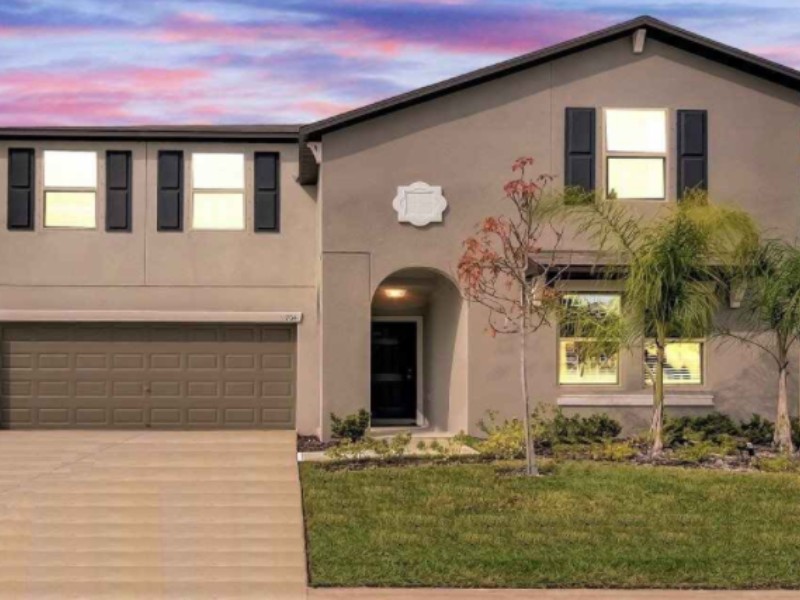 4223 Globe Thistle Dr - Florida - Tampa - 33619